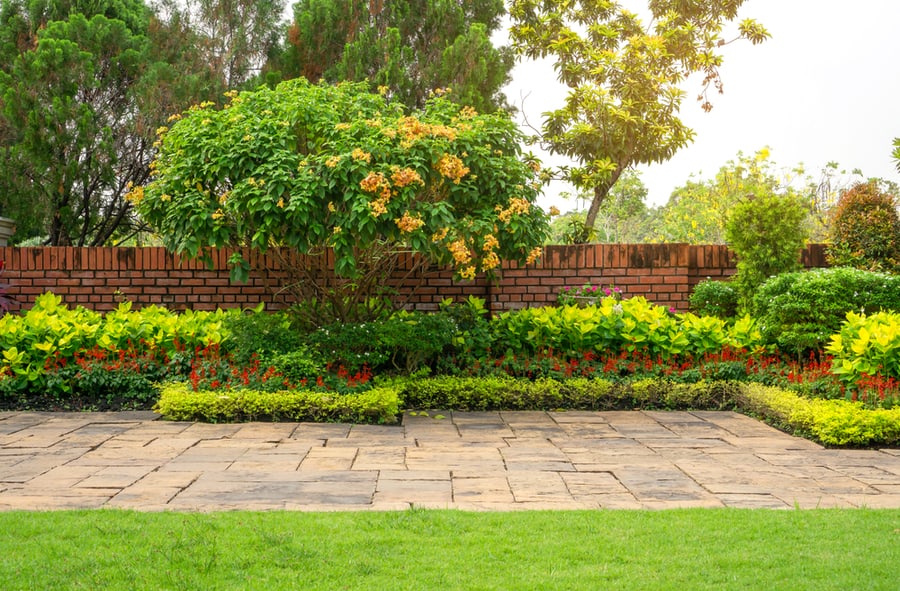 Clearing Yard Waste Clearing Yard Waste