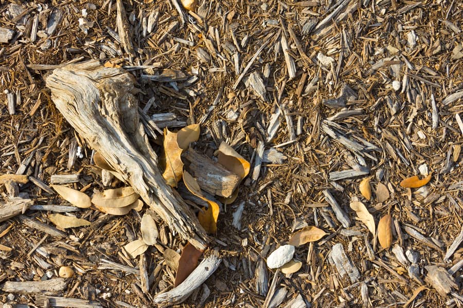 Decay Wood Chips