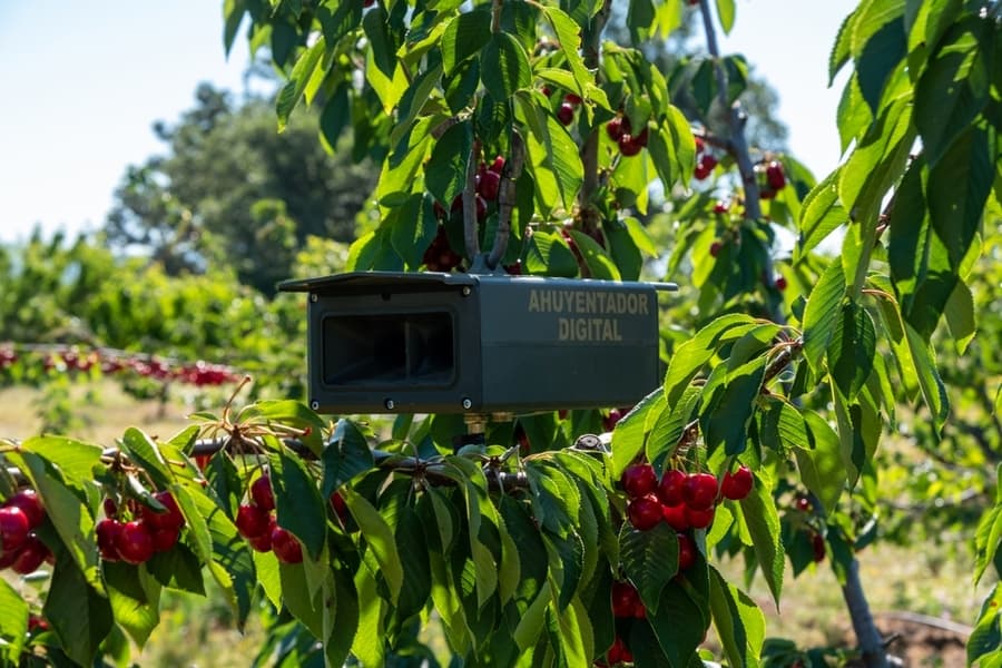 Fix A Motion Sensor To Your Yard