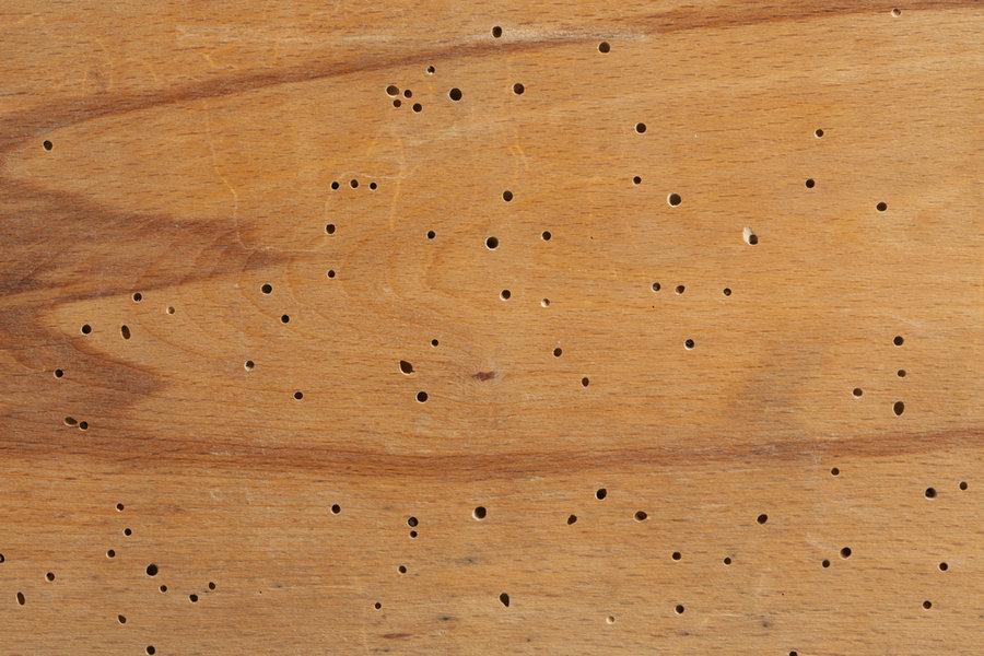 Holes On Wooden Surfaces