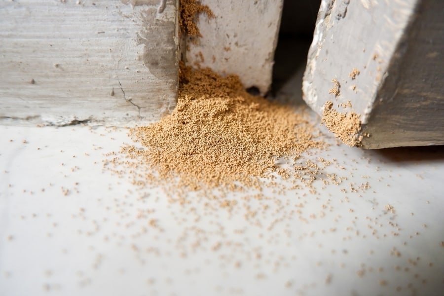 How To Safely Remove Termite Droppings