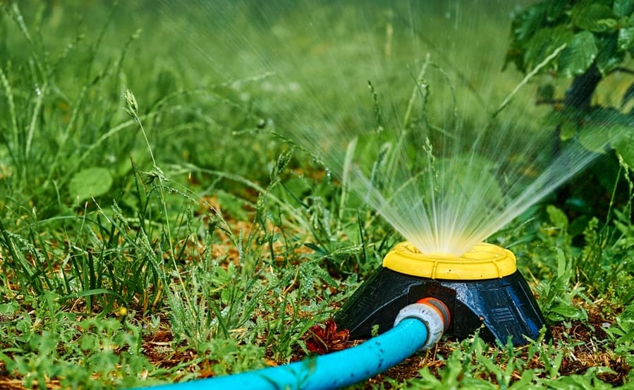 Motion Activated Sprinklers