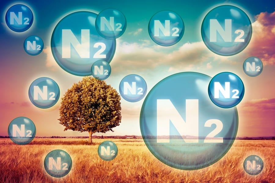 Nitrogen Gas