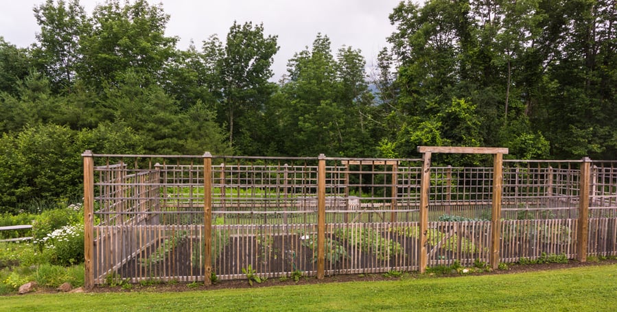 Place Tall Fencing Around Your Pumpkin Patch