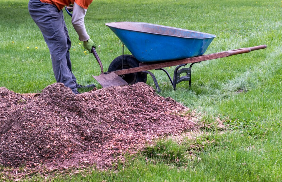 Remove Mulch Piles Next To Windows