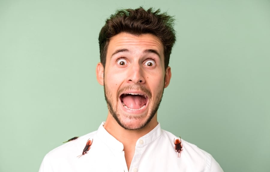 How To Get Roaches Out of Dressers | BeatPests