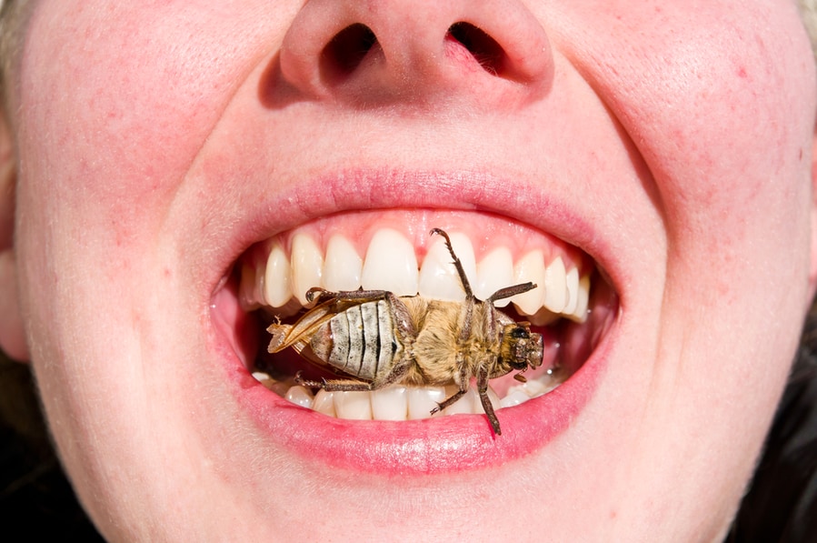 Things That May Happen If A Roach Gets In Your Mouth