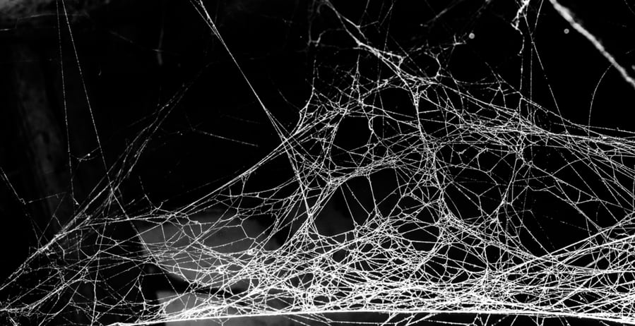 Triangle Horror Cobweb Or Spider Web Isolated On Black Background