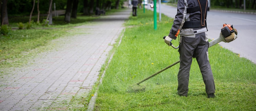 Trim Nearby Grasses